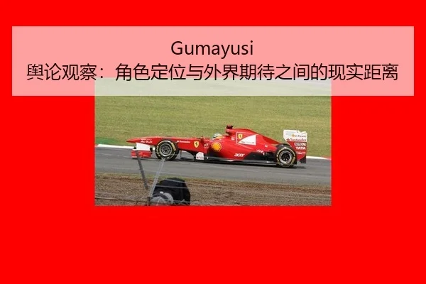 yu-lun-guan-cha-jue-se-ding-wei-yu-wai-jie-qi-dai-zhi-jian-de-xian-shi-ju-li-2-237.jpg